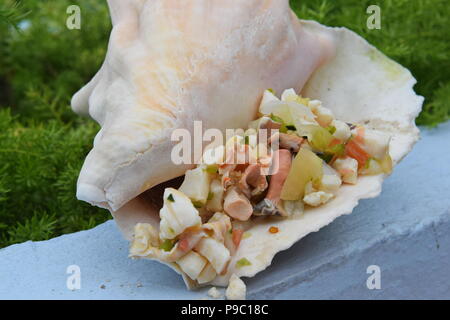 Frisch conch Salat im Freien einstellen. Stockfoto