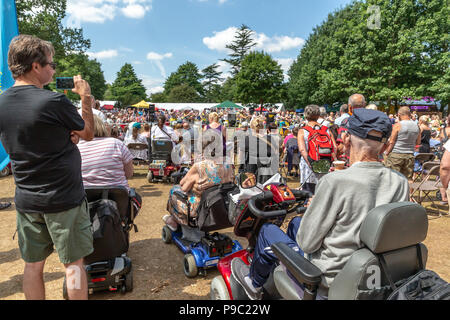 15. Juli 2018 - Warrington Behinderung Partnerschaft hielt ihre 27. jährliche Behinderung Bewußtsein Tag Veranstaltung auf dem Gelände des Walton Hall und Gärten Stockfoto