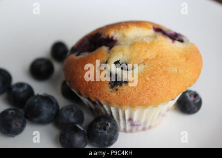 Hausgemachte Blueberry muffin Stockfoto
