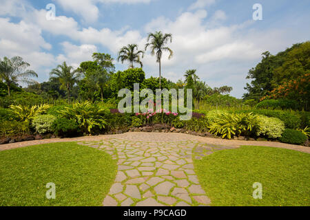 Ruhiger Blick auf den National Orchid Garden im Botanischen Garten von Singapur. Singapur Stockfoto