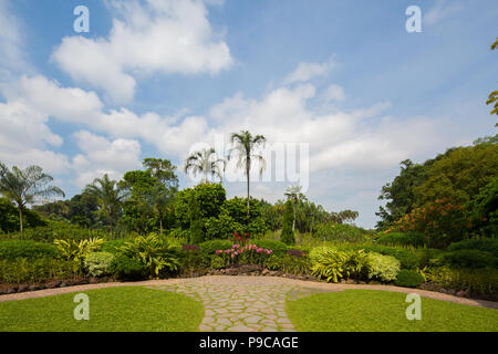 Blick auf den National Orchid Garden im Botanischen Garten von Singapur. Singapur Stockfoto