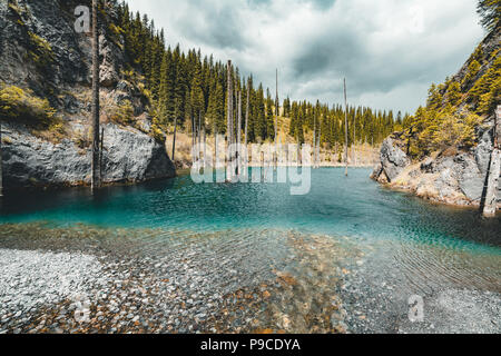 Die versunkene Wald von Lake Kaindy. Lake Kaindy, d. h. der 'Birke See' ist ein 400 Meter langer See in Kasachstan, die Tiefe in der Nähe von 30 m in einigen Bereichen erreicht. Stockfoto