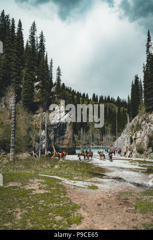 Die versunkene Wald von Lake Kaindy. Lake Kaindy, d. h. der 'Birke See' ist ein 400 Meter langer See in Kasachstan, die Tiefe in der Nähe von 30 m in einigen Bereichen erreicht. Stockfoto