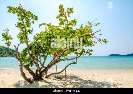 Schaukeln unter den Bäumen am weißen Sandstrand auf der Insel Samet, Rayong, Thailand. Stockfoto