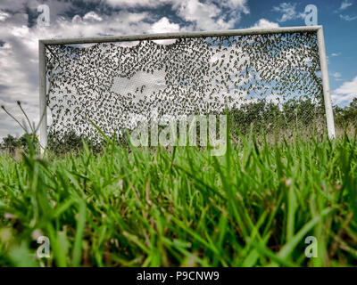 Verlassenen ländlichen Fußball Ziel gegen den Himmel Stockfoto