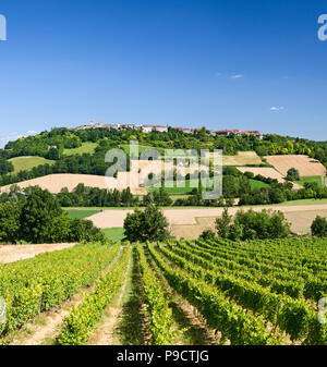 Typisch französische hilltop Bastide von Lauzerte und Weinberg in Tarn et Garonne, Frankreich, Europa
