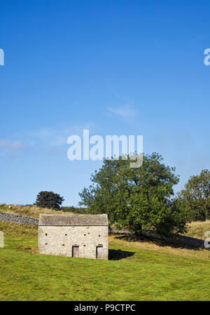 Scheune und trockene Mauer aus Stein, die in den Yorkshire Dales National Park, England, Großbritannien Stockfoto