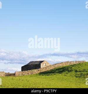 Scheune und trockene Mauer aus Stein, die in den Yorkshire Dales National Park, England, Großbritannien Stockfoto