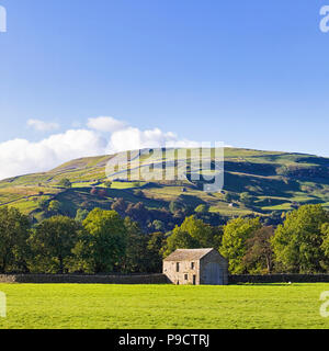 Stein Scheunen und Trockenmauern in der Nähe von Gunnerside, Swaledale, Yorkshire Dales, North Yorkshire, England, Großbritannien Stockfoto