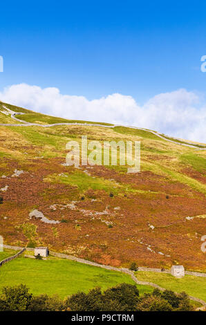 Stein Scheunen und Trockenmauern in Swaledale, Yorkshire Dales, North Yorkshire, England, Großbritannien Stockfoto