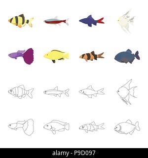 Botia, Clown, Piranha, cichlid, Kolibri, Guppy, Fische set Sammlung Icons im Cartoon, Outline style Vektor Symbol lieferbar Abbildung: Stock Vektor