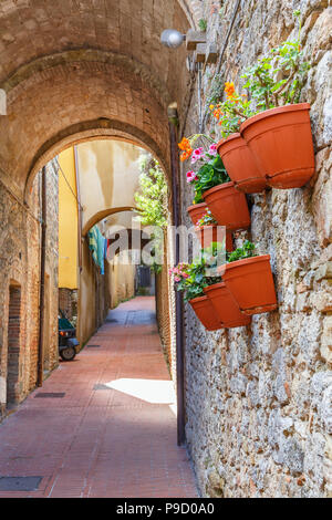 Blumentöpfe mit blühenden Blumen an der Wand in einer Gasse Stockfoto