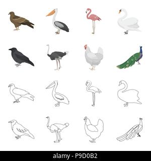 Crow, Strauß, Huhn, Pfau. Vögel stellen Sammlung Icons im Cartoon, Outline style Vektor Symbol lieferbar Abbildung. Stock Vektor