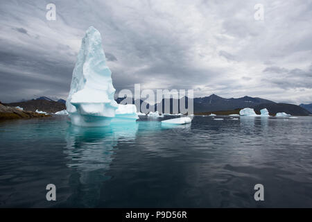 Eisberge im Südlichen Grönland Stockfoto