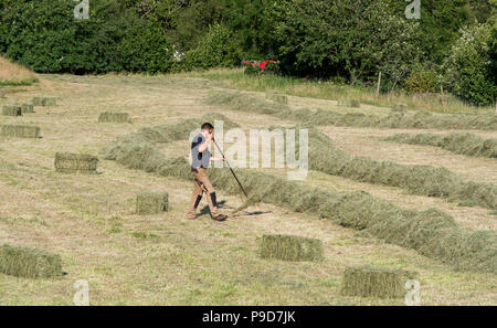 Bauer, Harken lose Bits von Heu im Hayfield in der Nähe von Keld in den Yorkshire Dales National Park, Großbritannien. Stockfoto