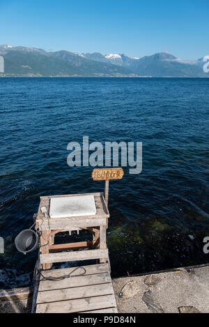 Fisch Vorbereitung Waschbecken, Vangsnes, Sognefjord, Norwegen. Stockfoto