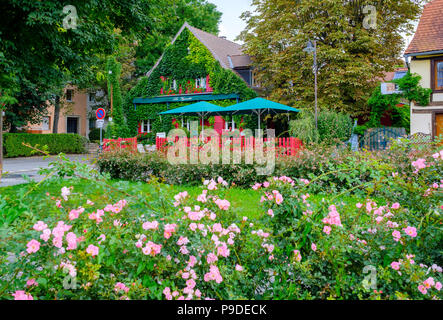 Straßburg, Restaurant La Vignette, mit Efeu bewachsene Haus, Rote Pfähle Zaun, blühenden Garten, Elsass, Frankreich, Europa, Stockfoto