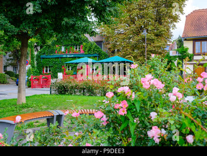 Straßburg, Restaurant La Vignette, mit Efeu bewachsene Haus, blühenden Garten, Bank, Elsass, Frankreich, Europa, Stockfoto