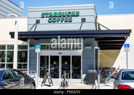 Gainesville Florida, Starbucks Coffee, Kaffeehaus, Vordereingang außen, behindertengerechte Sonderwünsche, Parkplatz, FL171028088 Stockfoto