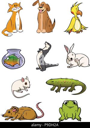 Cartoon Vector Illustration eines Haustiere Sammlung Stock Vektor