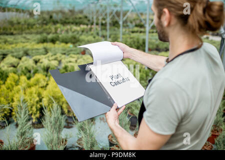 Gärtner arbeiten im Gewächshaus Stockfoto