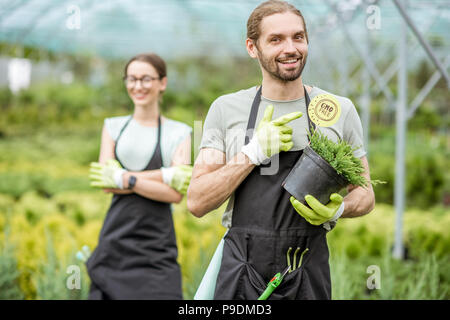 Gärtner mit Pflanzen im Gewächshaus Stockfoto