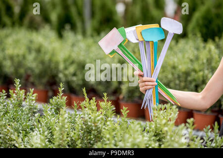 Haltebleche für Pflanzennamen Stockfoto