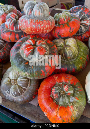 Bunte dekorative Kürbisse, Kürbisse und Kürbisse in einer Box auf einem offenen Markt in der Straße. Vielfalt von bunten dekorative Kürbisse und Kürbisse. Mini g Stockfoto