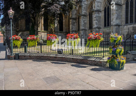 Sechs Blumenampeln in einem Halbkreis auf Geländer Stockfoto