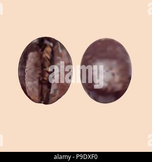 Kaffeebohnen, geröstete Kaffeebohnen. Vektor realistisch auf braunem Hintergrund isoliert. Stock Vektor