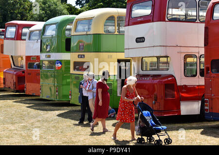 Besucher die Teilnahme an einem Bus Rally, Alton, Hampshire, UK. Sonntag, 15. Juli 2018. Stockfoto