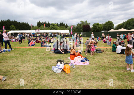 Eine niedrige Wahlbeteiligung bei Arbeit Leben eine politische Musik Festival an der White Hart Lane Recreation Ground im Norden Londons, wegen des Mangels an Verkauf von Tickets. Mit: Atmosphäre, Wo: London, Großbritannien Wann: 16 Jun 2018 Credit: Dinendra Haria/WANN Stockfoto