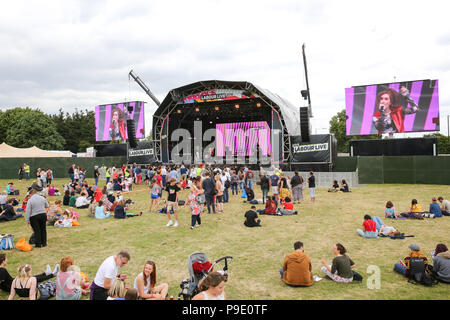 Eine niedrige Wahlbeteiligung bei Arbeit Leben eine politische Musik Festival an der White Hart Lane Recreation Ground im Norden Londons, wegen des Mangels an Verkauf von Tickets. Mit: Atmosphäre, Wo: London, Großbritannien Wann: 16 Jun 2018 Credit: Dinendra Haria/WANN Stockfoto