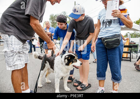 Florida, Ocala, Kunstfestival, jährliche Kleinstadt-Community-Veranstaltung, Stände Stände Händler kaufen Verkauf, Hunde, Haustiere, Leine, Erwachsene Erwachsene Mann Männer männlich, w Stockfoto