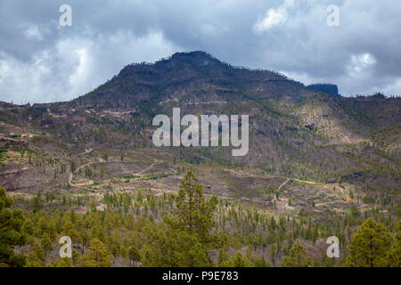 Gran Canaria, Blick nach Cruz Grande, mountais abgedeckt durch Pinienwald Stockfoto