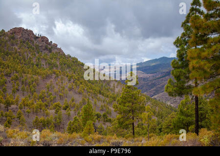 Gran Canaria, Ansicht von Las Cumbres, den höchsten Punkt der Insel, im Süden Stockfoto