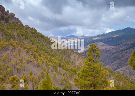 Gran Canaria, Ansicht von Las Cumbres, den höchsten Punkt der Insel, im Süden Stockfoto