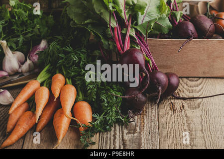 Frische organische herbstliches Gemüse. Vegetarisches Essen Zutaten zum Kochen auf rustikalen Holztisch Stockfoto