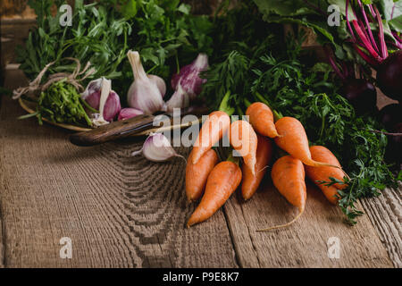 Frische organische herbstliches Gemüse. Vegetarisches Essen Zutaten zum Kochen auf rustikalen Holztisch Stockfoto