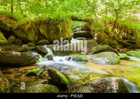 Blick auf Kennall Vale cornwall Naturschutzgebiet Website der Alte Pulvermühlen ul Stockfoto