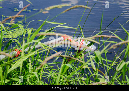 Nehmen Sie Proben für Laboruntersuchungen. Das Konzept - Analyse von Wasser Reinheit, Umwelt, Ökologie Stockfoto