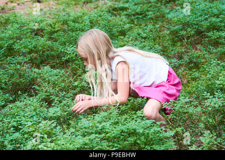 Kind blond adorable girl Kommissionierung frische Beeren auf blueberry Feld im Wald. Kind abholen Heidelbeeren im Wald. Kleine süße Mädchen spielen im Freien. Su Stockfoto