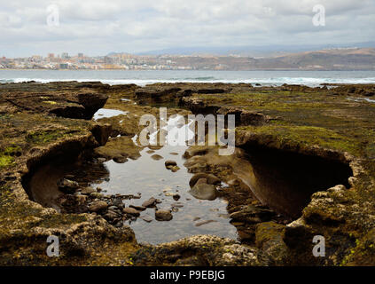 Felsige Anordnung an der Küste bei Ebbe, die confital, Las Palmas de Gran Canaria, Spanien Stockfoto