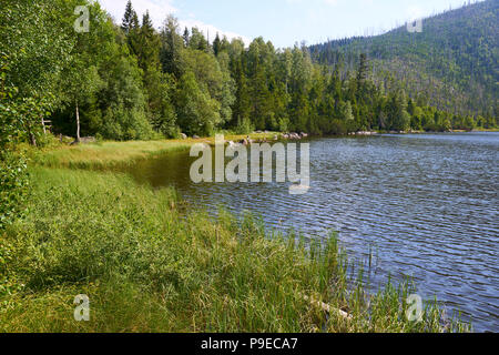 See Plesne im Nationalpark Sumava (Böhmerwald) in der Tschechischen Republik Stockfoto