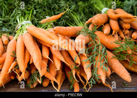 Ernte von biologisch angebauten Karotten auf Anzeige an Farmers Market Stockfoto