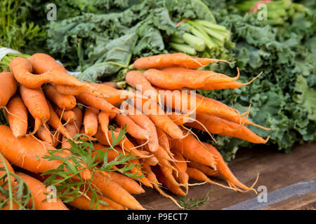 Ernte von biologisch angebauten Karotten auf Anzeige an Farmers Market Stockfoto