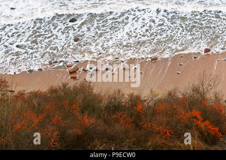 Blick von oben auf das Meer und die Wellen, Sanddorn am Strand Stockfoto