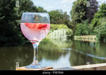 Glas Pink Gin und Erdbeeren Stockfoto