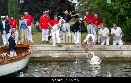 Die Princess Royal (4. links) Blick auf die jährliche Erhebung der Swan Bevölkerung auf der Themse, genannt Swan Upping. Stockfoto