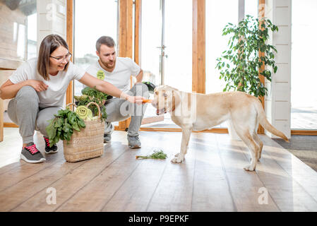 Paar Fütterung Hund mit Karotte Stockfoto